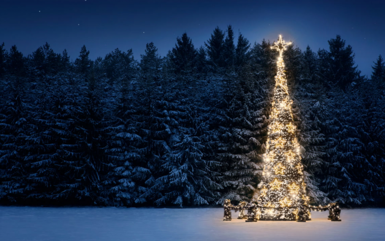 christmas tree mountain