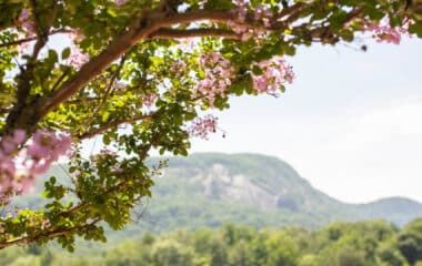 Kick Off the Season at Rumbling Bald on Lake Lure!